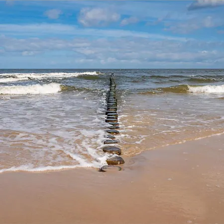 Sanddorn *