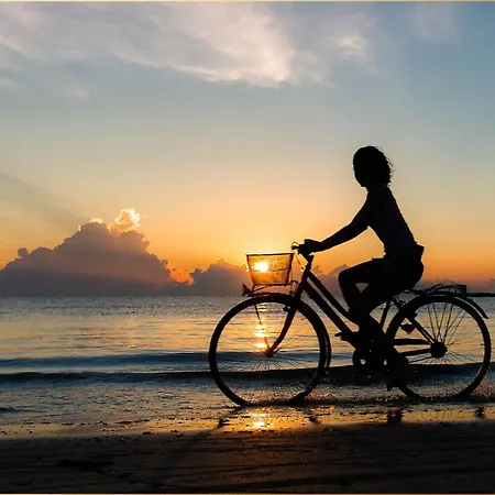 Sanddorn Διαμέρισμα